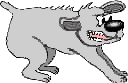 Aggressive Dog