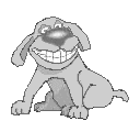 Cool Dog