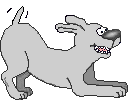 Playing Dog