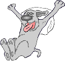 Waking Dog