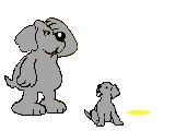 Pee Pup