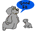 Sit Pup